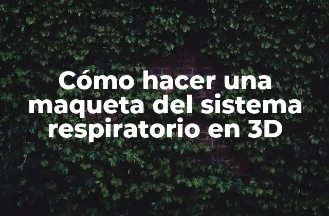 Cómo Hacer una Maqueta Del Sistema Respiratorio en 3d