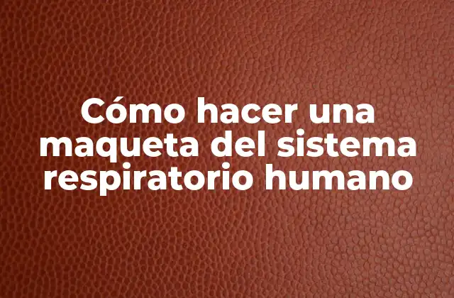 Cómo Hacer una Maqueta Del Sistema Respiratorio Humano