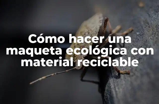 Cómo Hacer una Maqueta Ecológica con Material Reciclable