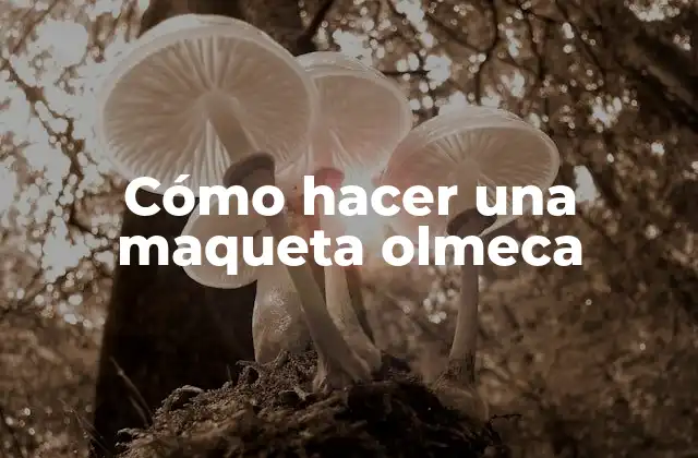 Cómo Hacer una Maqueta Olmeca