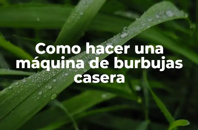 Como Hacer una Máquina de Burbujas Casera