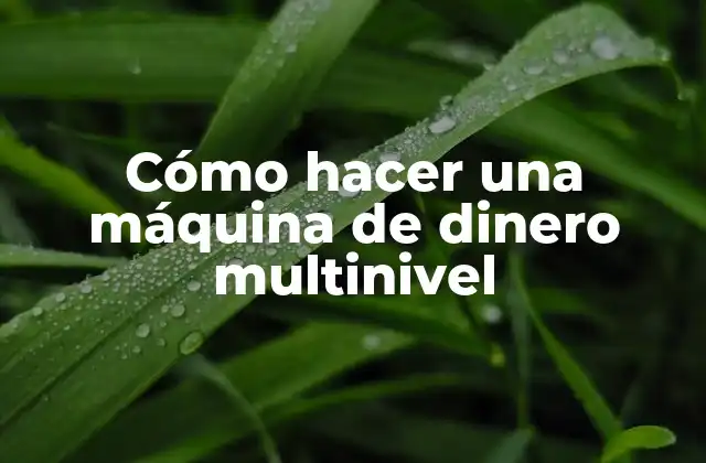 ¿Qué es una máquina de dinero multinivel?