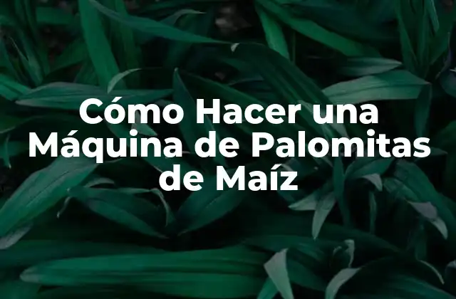 Cómo Hacer una Máquina de Palomitas de Maíz
