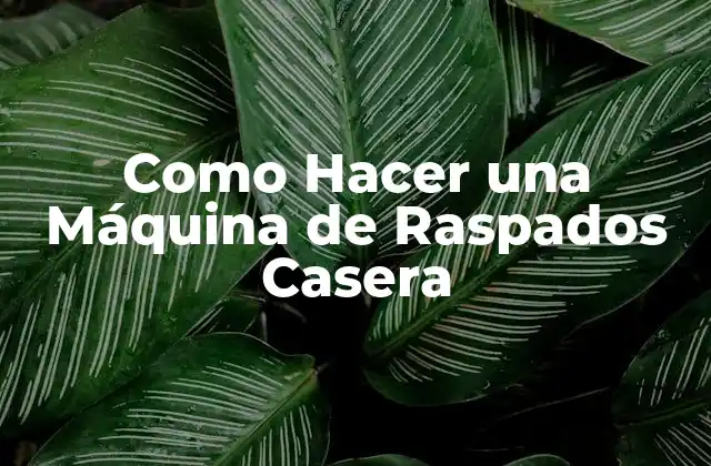 Como Hacer una Máquina de Raspados Casera