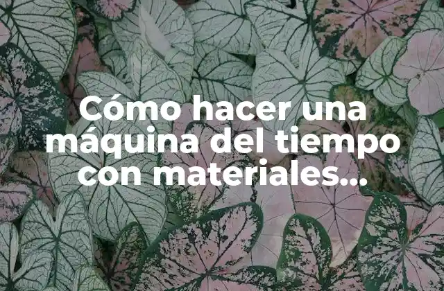 Cómo Hacer una Máquina Del Tiempo con Materiales Reciclables