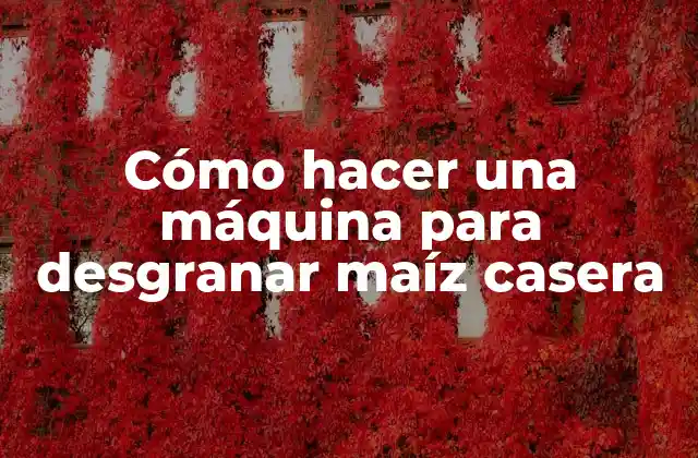 ¿Qué es una máquina para desgranar maíz casera?