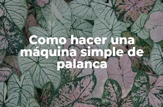 Como Hacer una Máquina Simple de Palanca