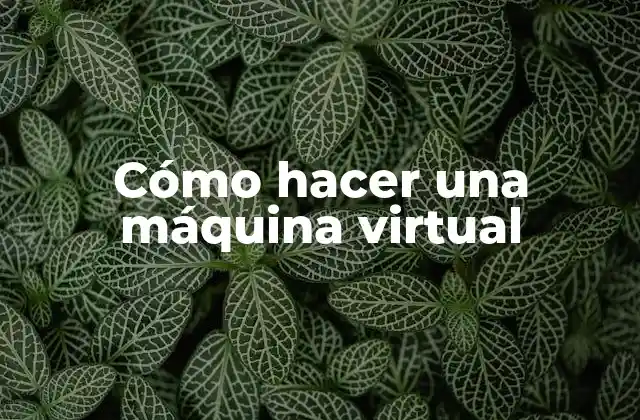 Cómo Hacer una Máquina Virtual