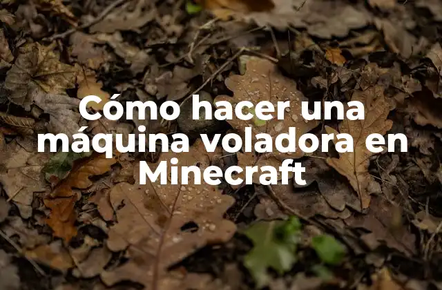 Cómo Hacer una Máquina Voladora en Minecraft