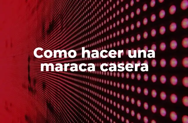 Como Hacer una Maraca Casera