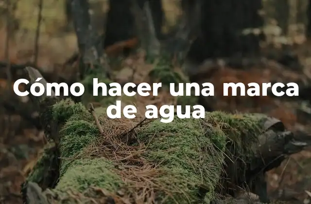 Cómo Hacer una Marca de Agua