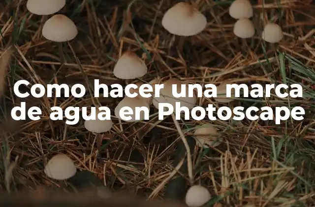 Como Hacer una Marca de Agua en Photoscape