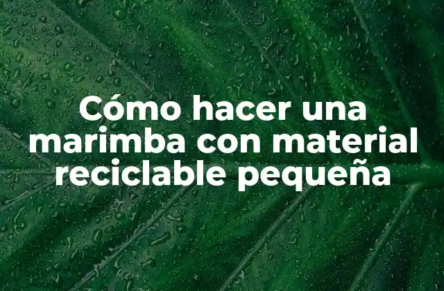 Cómo Hacer una Marimba con Material Reciclable Pequeña