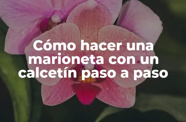 Cómo Hacer una Marioneta con un Calcetín Paso a Paso