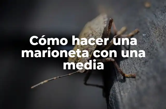 Cómo Hacer una Marioneta con una Media