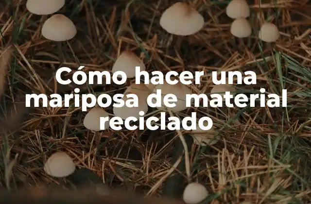 Cómo Hacer una Mariposa de Material Reciclado