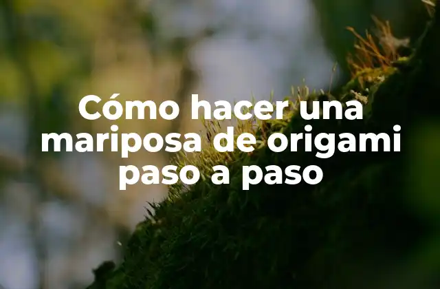 Cómo Hacer una Mariposa de Origami Paso a Paso