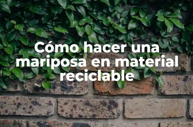 Cómo Hacer una Mariposa en Material Reciclable 2 Cómo hacer una mariposa en material reciclable