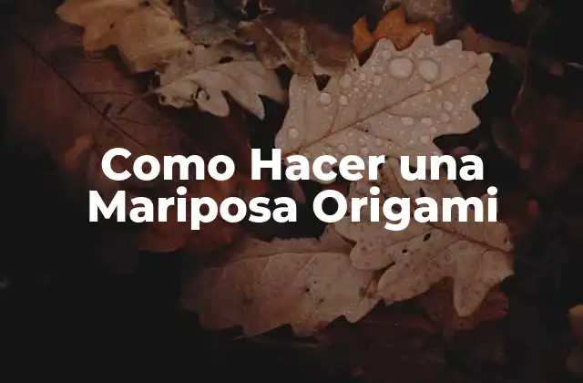 Como Hacer una Mariposa Origami