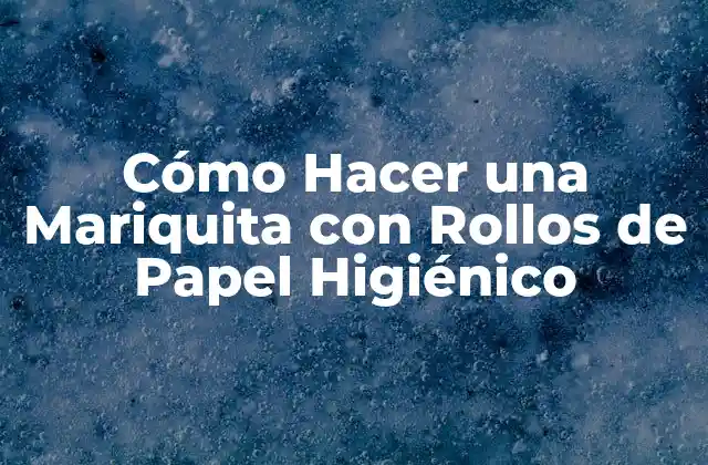 ¿Qué es una Mariquita de Papel Higiénico y para qué Sirve?