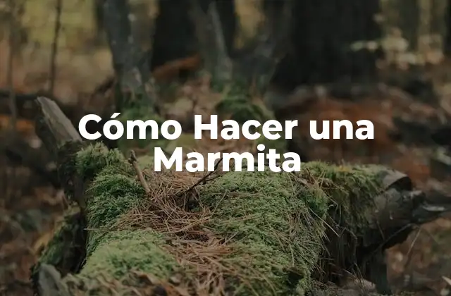 ¿Qué es una Marmita y Para Qué Sirve?