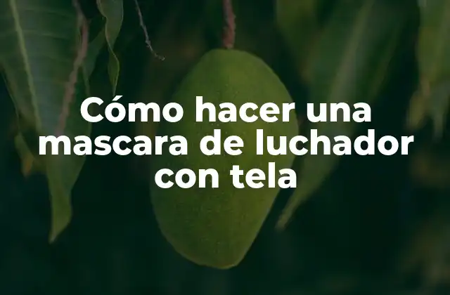 Cómo Hacer una Mascara de Luchador con Tela