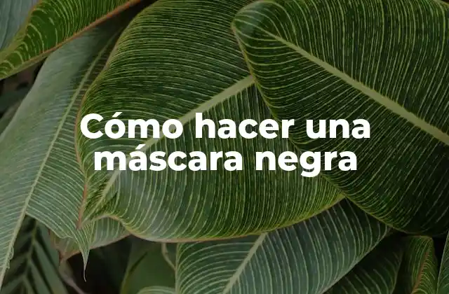Cómo Hacer una Máscara Negra