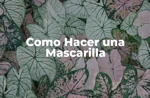 Como Hacer una Mascarilla