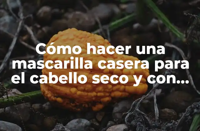 Cómo Hacer una Mascarilla Casera para el Cabello Seco y con Frizz