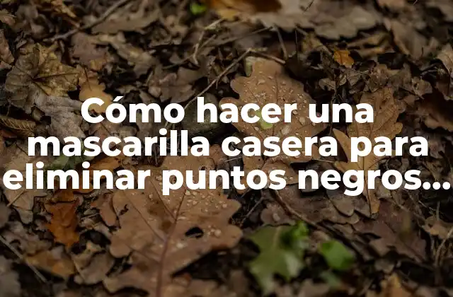Cómo Hacer una Mascarilla Casera para Eliminar Puntos Negros en la Cara