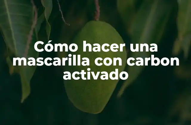Cómo Hacer una Mascarilla con Carbon Activado