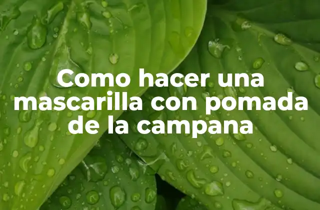 Como Hacer una Mascarilla con Pomada de la Campana