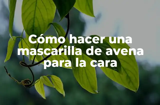 Cómo Hacer una Mascarilla de Avena para la Cara