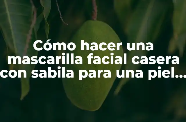 Cómo Hacer una Mascarilla Facial Casera con Sabila para una Piel Radiante