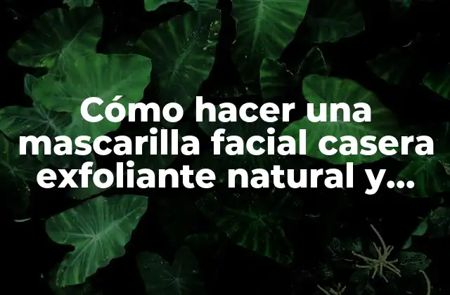 Cómo Hacer una Mascarilla Facial Casera Exfoliante Natural y Efectiva