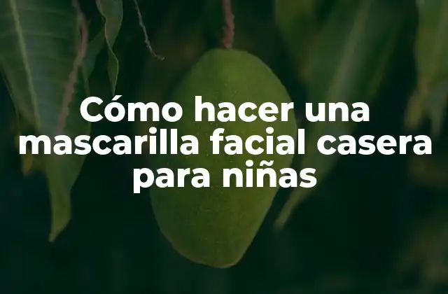 Cómo Hacer una Mascarilla Facial Casera para Niñas