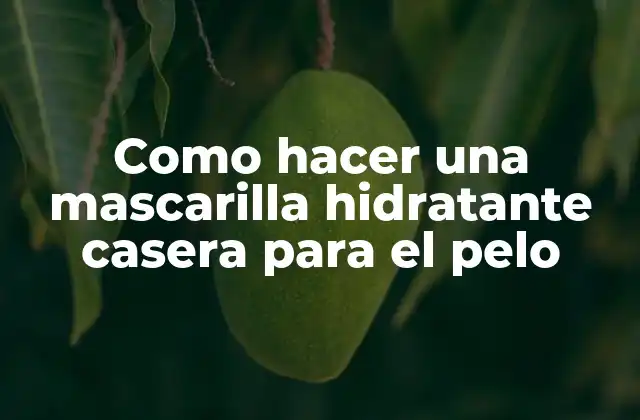 Como Hacer una Mascarilla Hidratante Casera para el Pelo