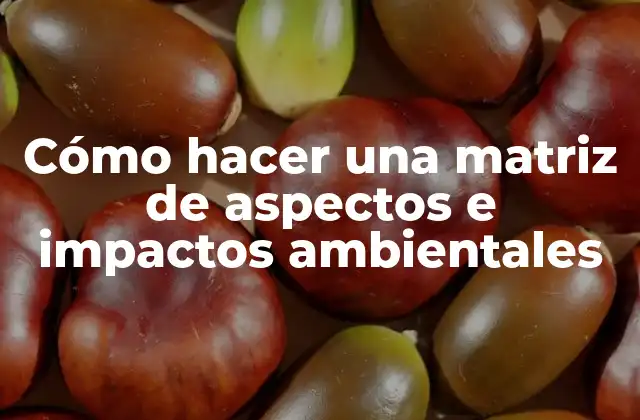 Cómo Hacer una Matriz de Aspectos e Impactos Ambientales