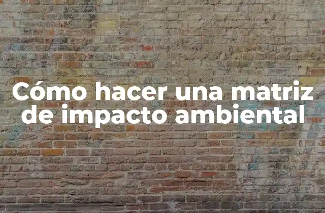 Cómo Hacer una Matriz de Impacto Ambiental 2 ¿Qué es una matriz de impacto ambiental?
