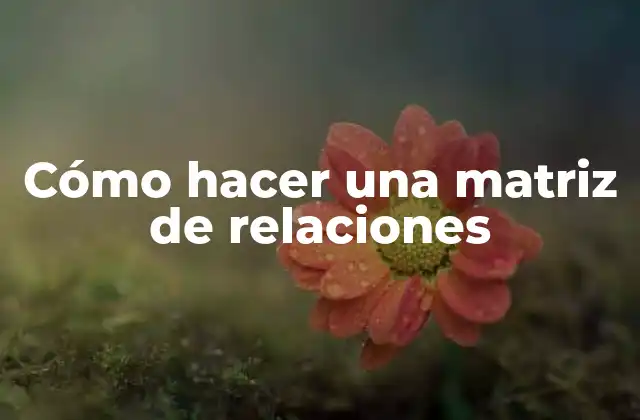Cómo Hacer una Matriz de Relaciones