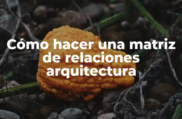 Cómo Hacer una Matriz de Relaciones Arquitectura