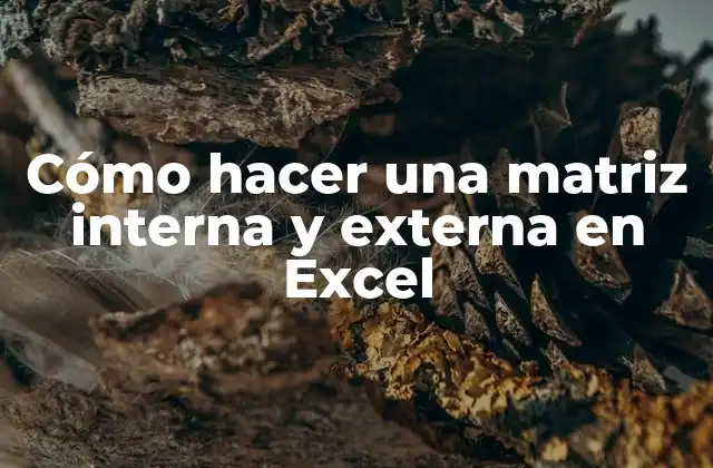 ¿Qué es una matriz interna y externa en Excel?