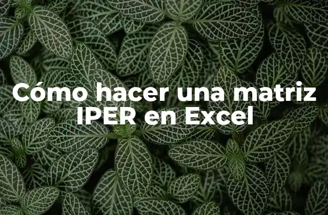 Cómo Hacer una Matriz Iper en Excel