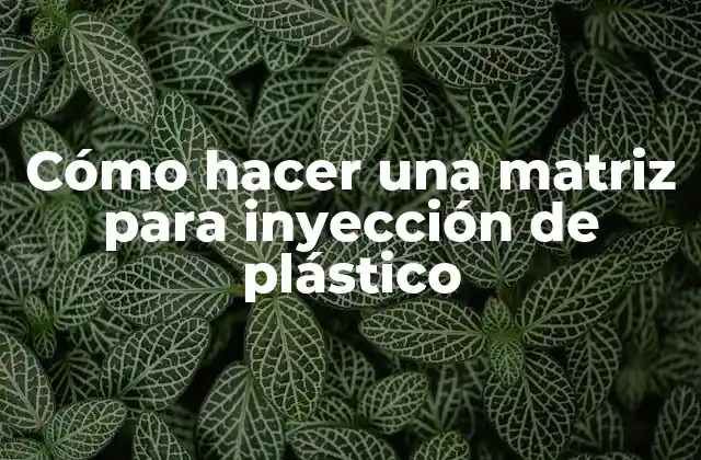Cómo Hacer una Matriz para Inyección de Plástico