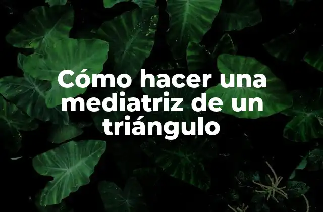 Cómo Hacer una Mediatriz de un Triángulo