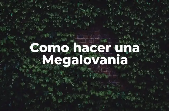 Como Hacer una Megalovania
