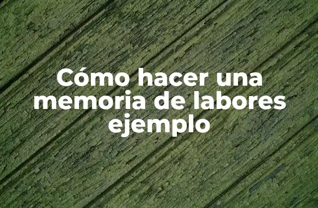 Cómo Hacer una Memoria de Labores Ejemplo 2 Cómo hacer una memoria de labores ejemplo