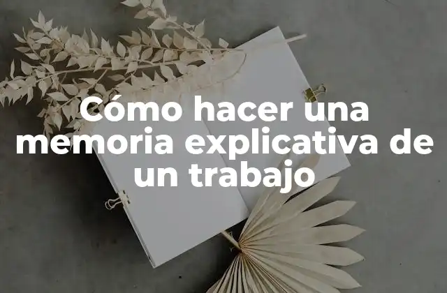Cómo Hacer una Memoria Explicativa de un Trabajo