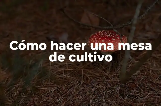 Cómo Hacer una Mesa de Cultivo