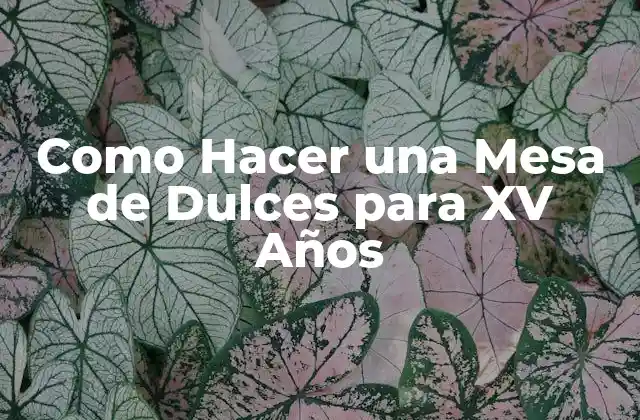 Como Hacer una Mesa de Dulces para Xv Años